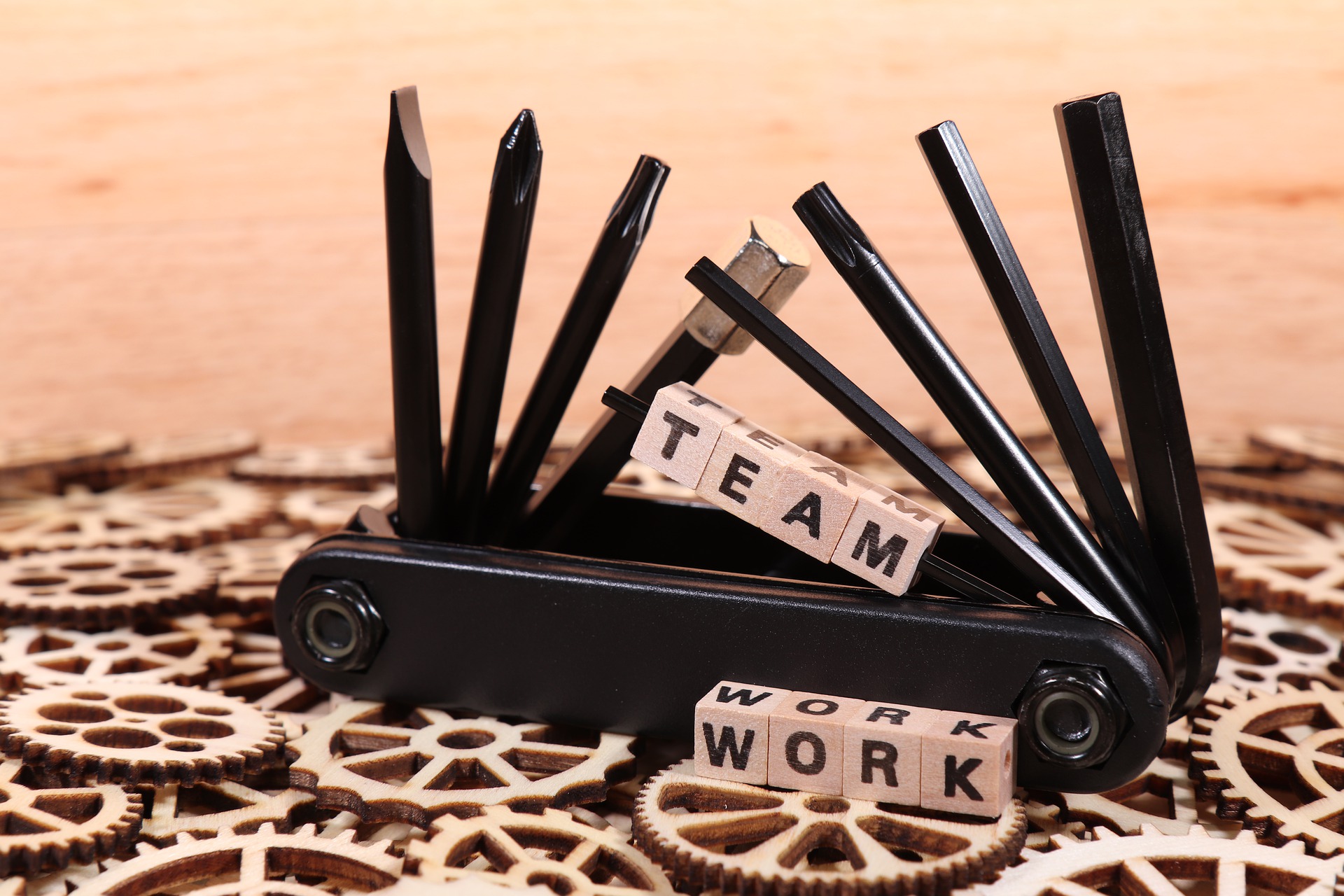 ganzPOTENZIAL Seminar Teamwork
